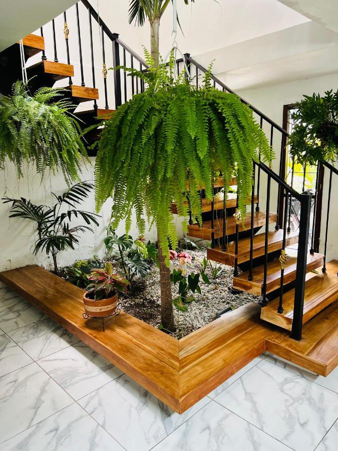 Casa de hóspedes Le Marie *