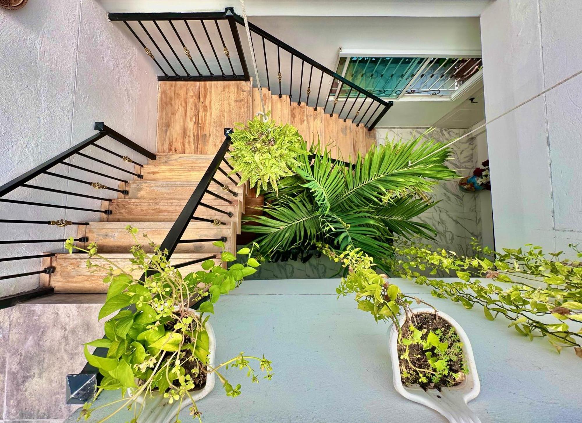 Le Marie Guest house *